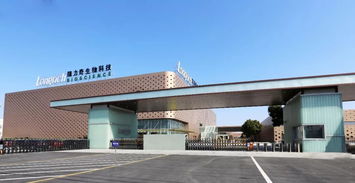 鐫定時代坐標，隆力奇譜寫發展新華章