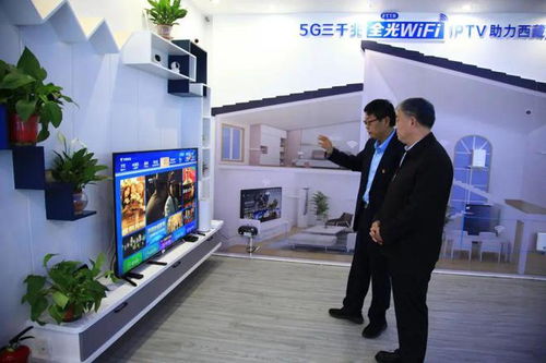 西藏電信 以“數”奮進，數字春風起，吹暖智美雪域